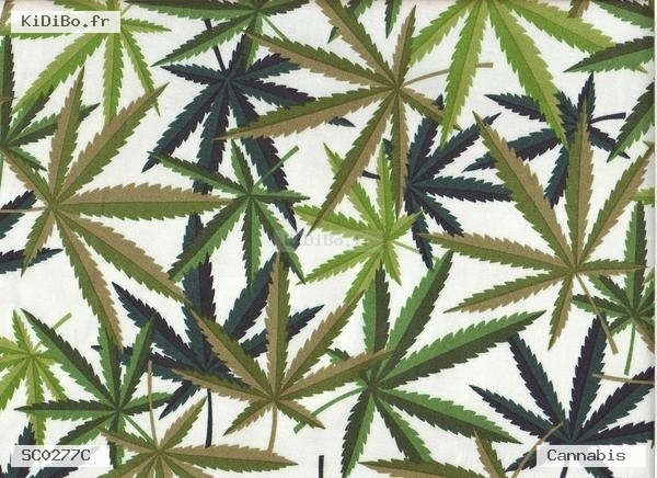 Calots de bloc Cannabis de chez KiDiBo